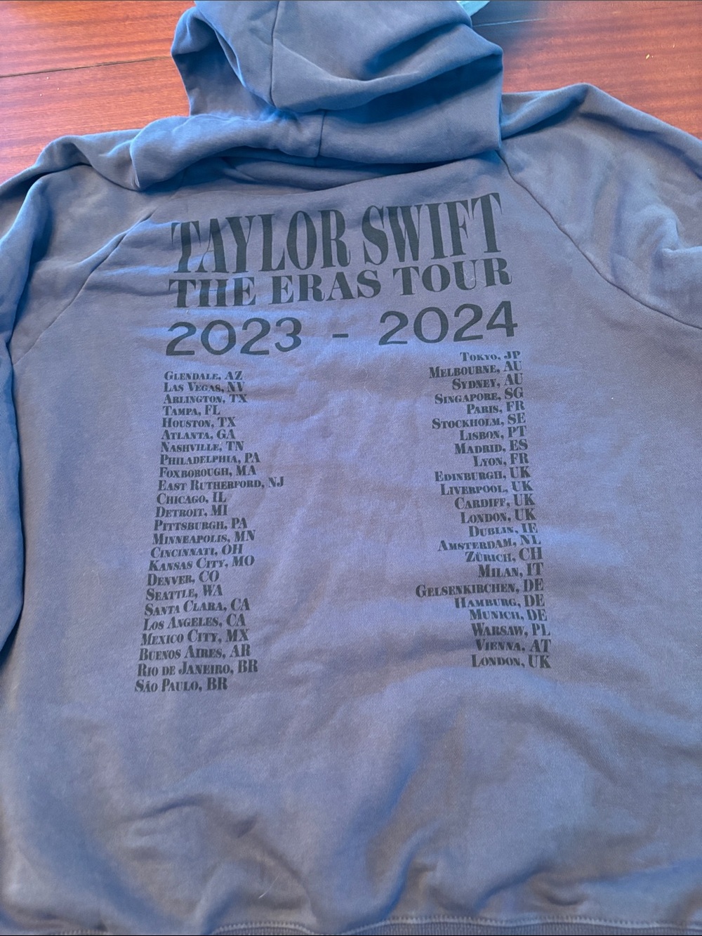 Taylor Swift Pullover Hoodie with The Eras Tour Logo - Picture 8 of 8